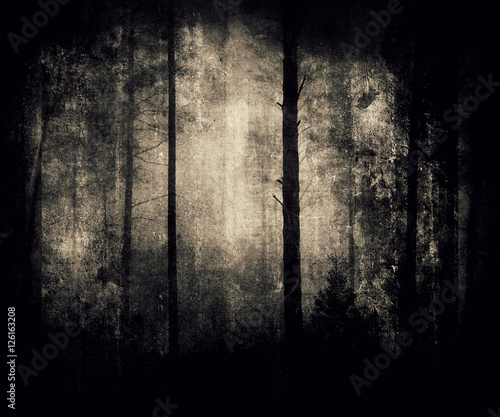 Forest Wallpaper, Grunge Background