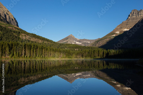 Reflection 