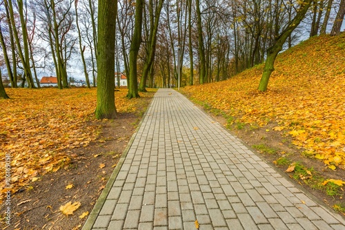 Colorful fall park in small city in Poland photo