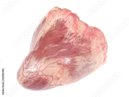 raw veal heart on a white background