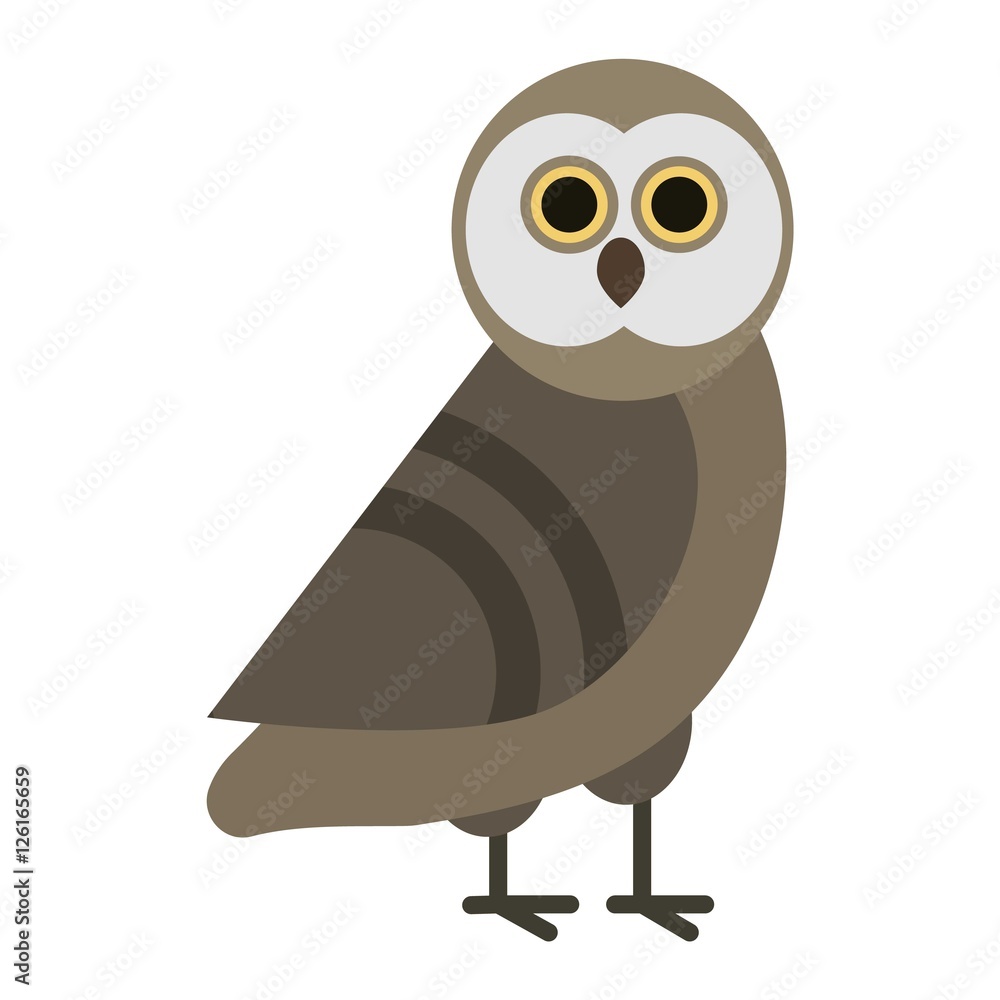 Owl wild bird cartoon vector Owl wild bird cartoon vector