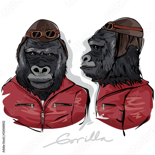 Gorilla Dressed as Human Pilot