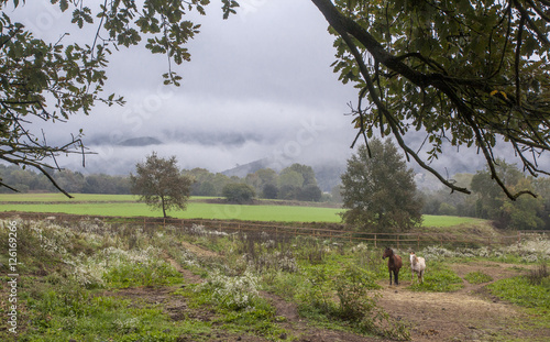 Entre nubes