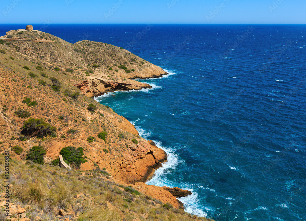 Summer sea coast landscape (Spain).