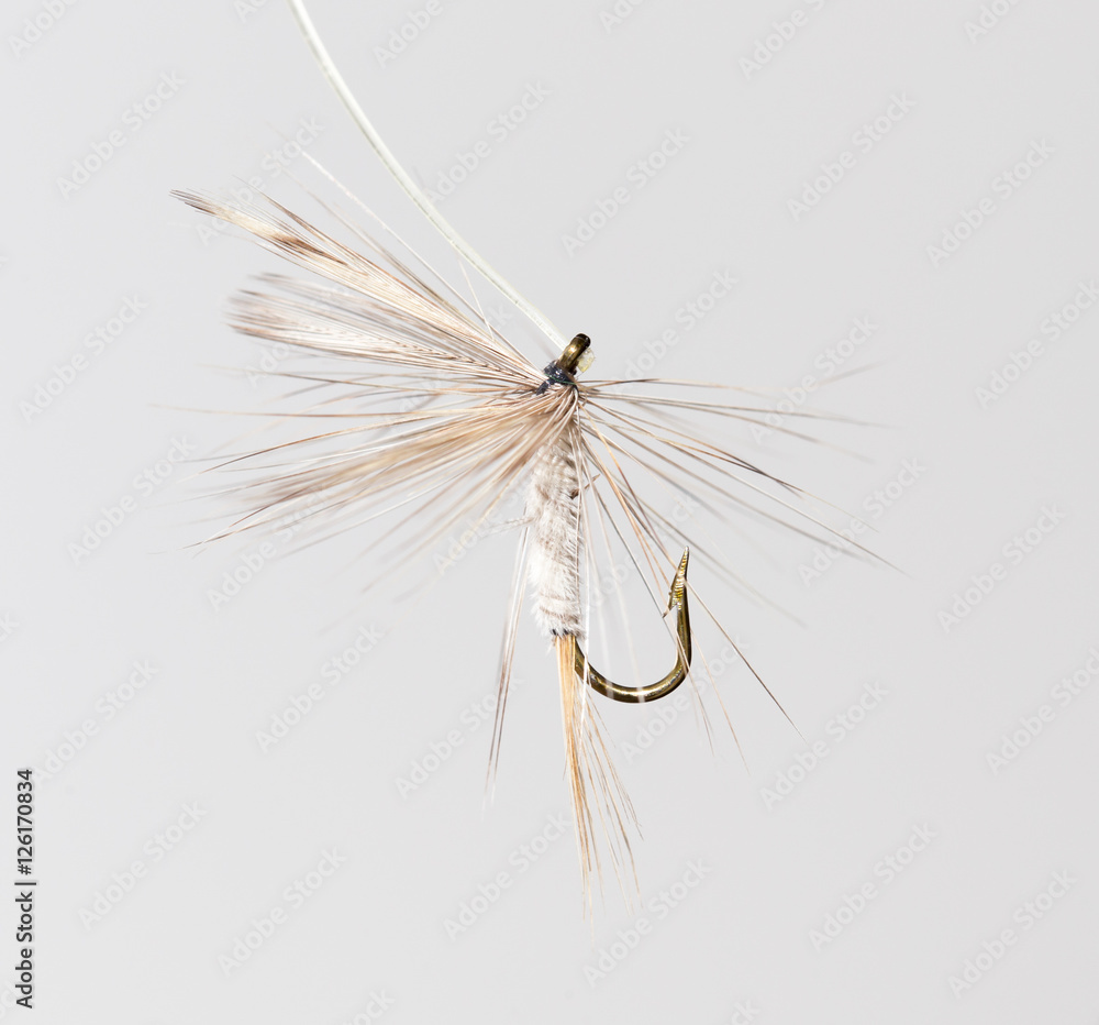 Obraz premium fly for fishing on a white background