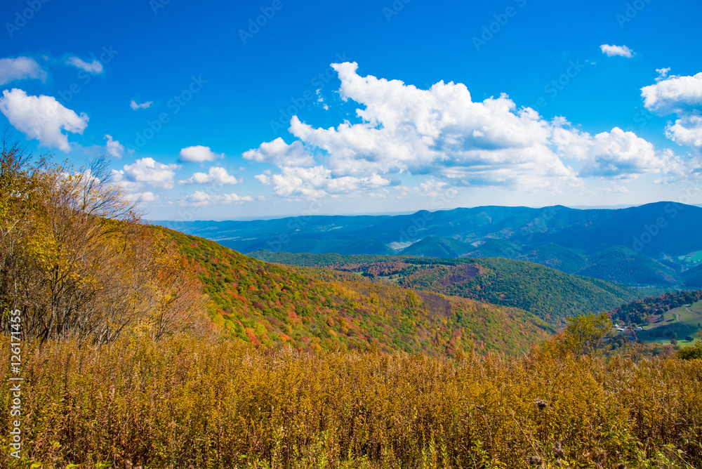 View from Spruce Knob Forest Road