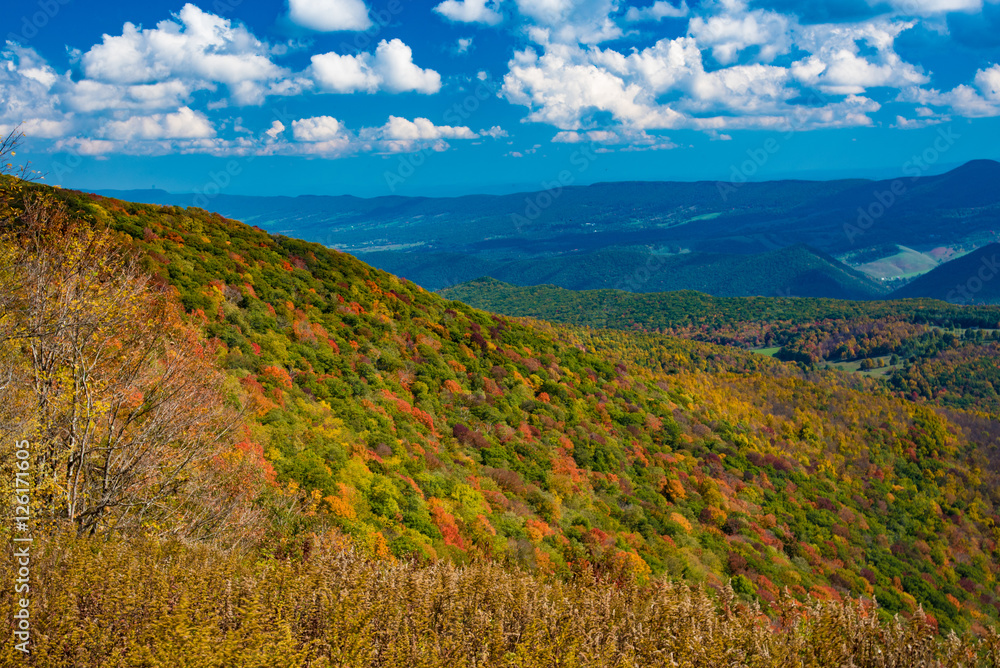 View from Spruce Knob Forest Road