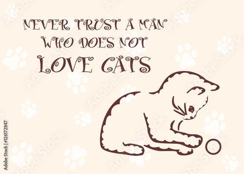 to love cats
