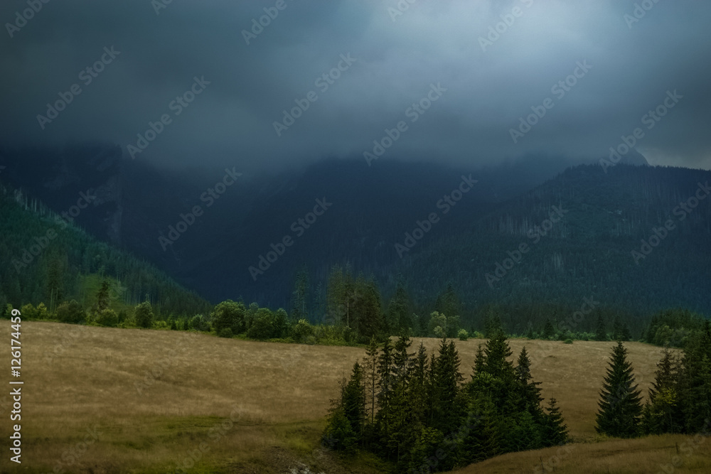 Naklejka premium burza w tatrach słowackich