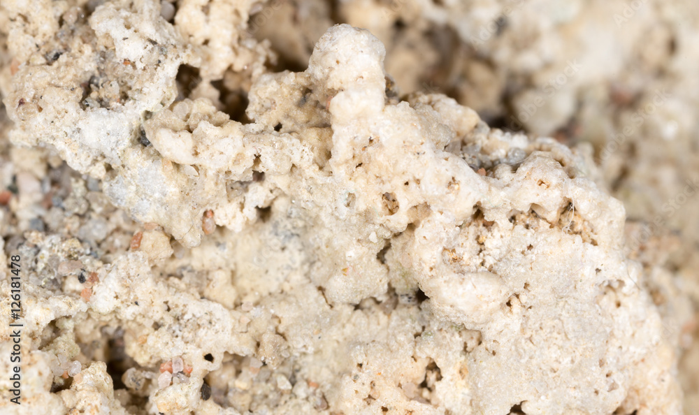 stone from the sand as a background. macro stone from the sand as a background. macro