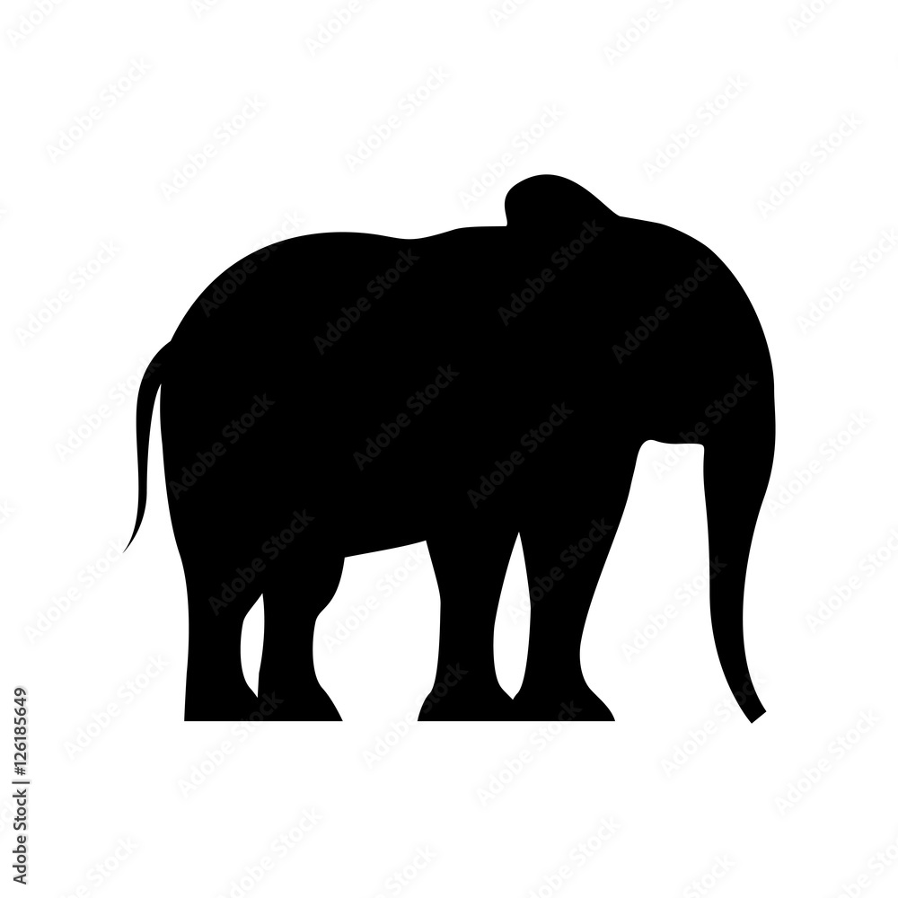 Fototapeta premium elephant silhouette isolated icon vector illustration design