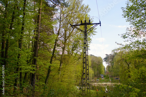 Fototapeta Naklejka Na Ścianę i Meble -  high voltage post in forest
