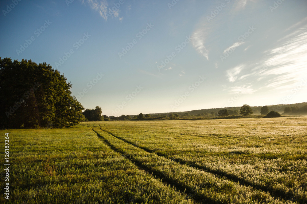 Morning landscape