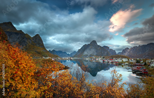 Golden Reine