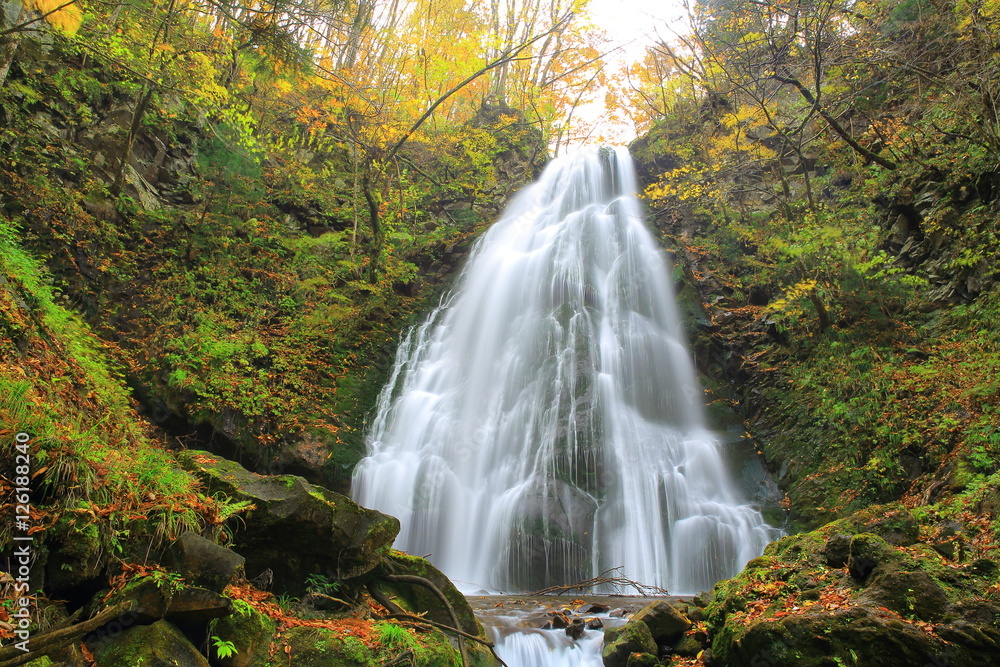 Obraz premium 秋田県 紅葉の十丈の滝
