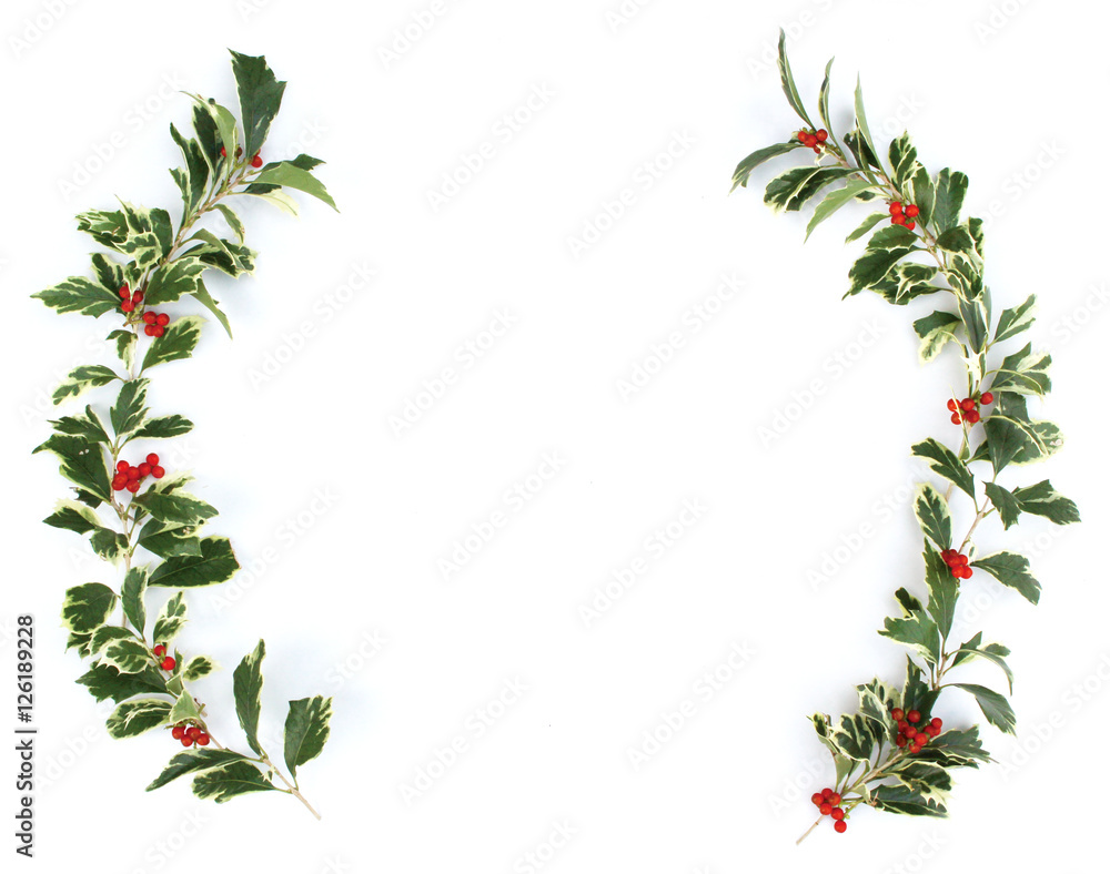 Fototapeta premium ヒイラギの葉とナンテンの実のクリスマスの飾り