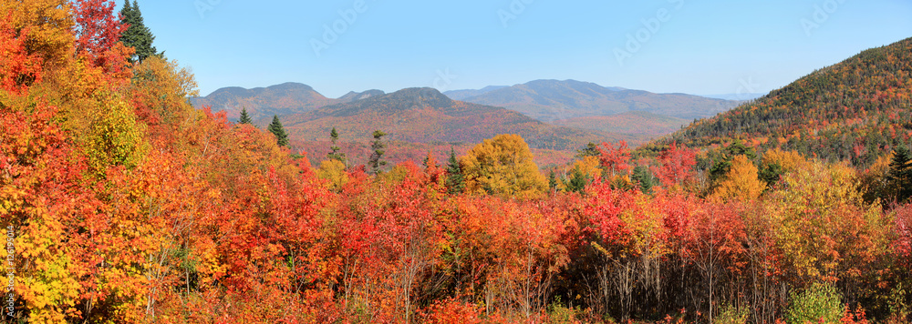 Naklejka premium White mountain national forest in New Hampshire