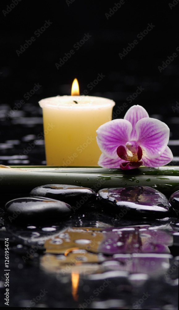tranquil spa scene tranquil spa scene