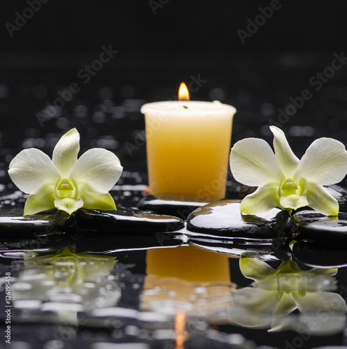 Two white orchid and candle on black stones 