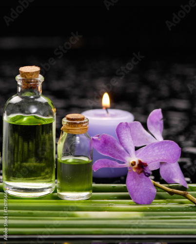 bamboo grove with orchid  candle  massage oil on wet background