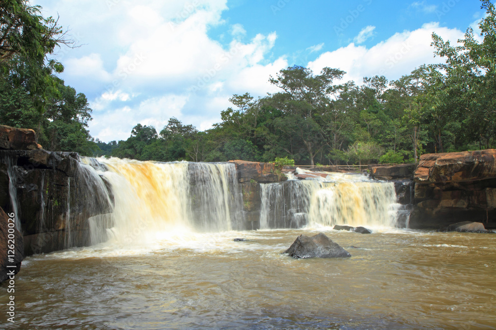 Fototapeta premium waterfall in forest