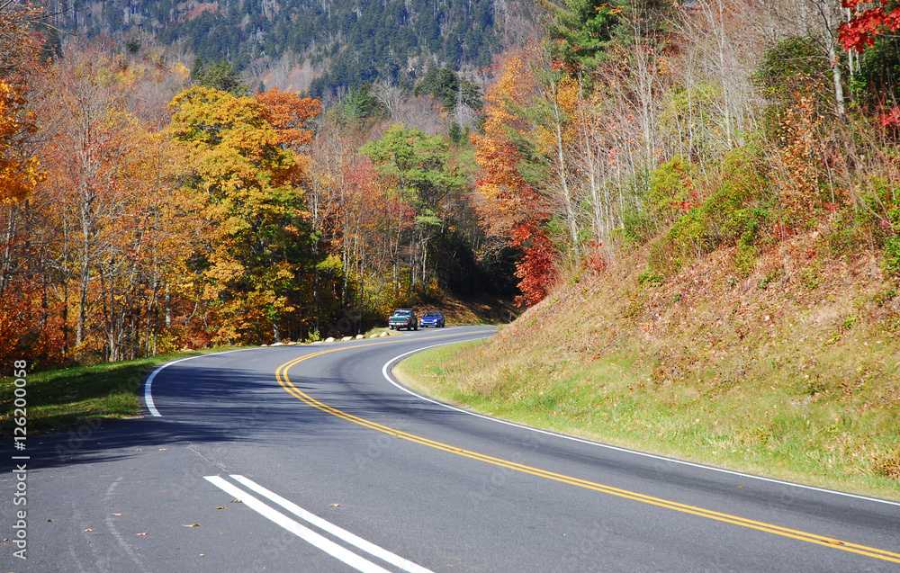 Fototapeta premium winding road in the autumn mountain forest 