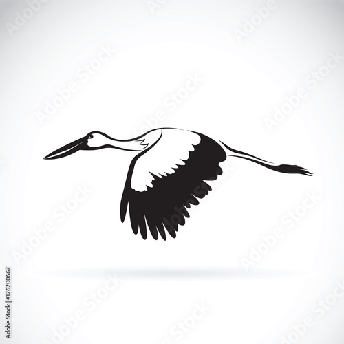 Vector of stork flying on white background. Stork Icon. Bird Des
