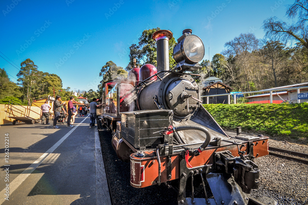 Fototapeta premium Locomotive - Puffing Billy 