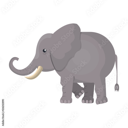 elephant indian isolated icon vector illustration design