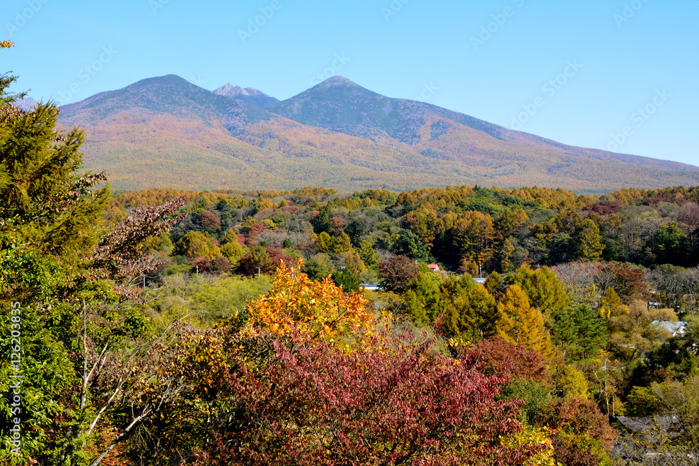 秋の八ヶ岳　-　立場川大橋からの風景