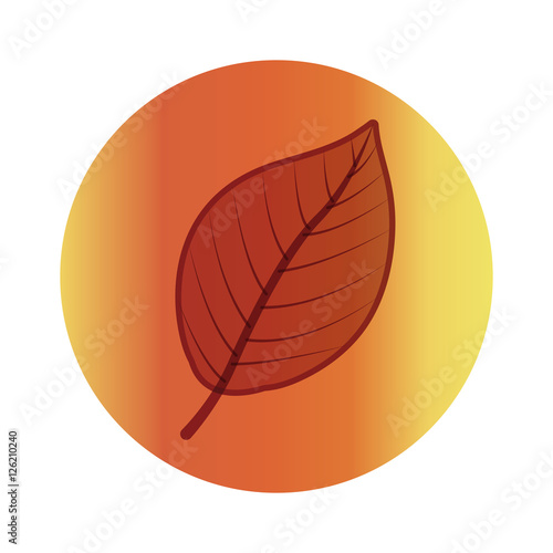 Leaf icon. Autumn season floral garden and nature theme. Colorful design. Vector illustration
