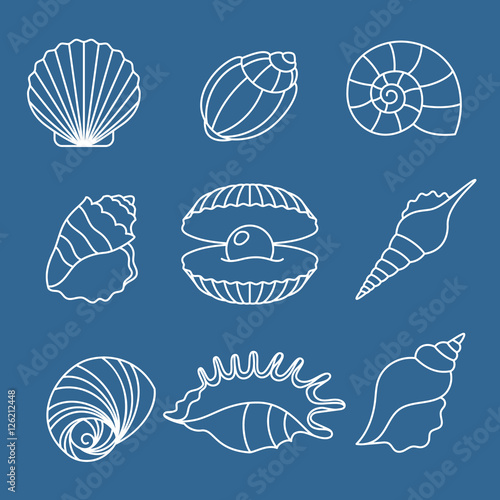 Sea shell outline icons on blue background. Vector illustration