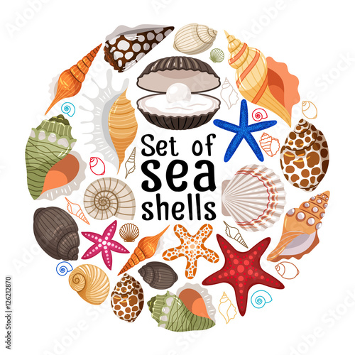 Aquatic badge with sea pearl shells and starfishes vector text label for travel message