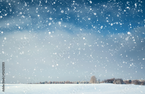 фотографія Trees in winter landscape in late evening in snowfall