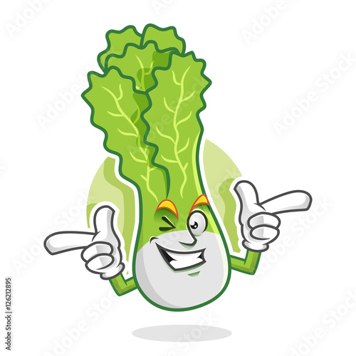 Funky wink lettuce mascot, lettuce character, lettuce cartoon, vector of lettuce