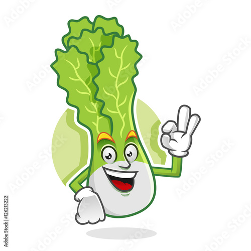 Delicious lettuce mascot, lettuce character, lettuce cartoon, vector of lettuce
