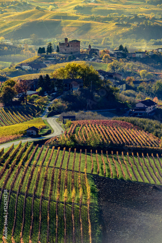 Autumn in northern italy region called langhe with colorful wine