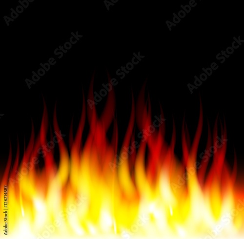 Burn flame fire on black background