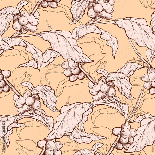 Seamless coffee background with branch of coffee and coffee beans. Hand drawn illustration in sketch style. EPS10 vector illustration