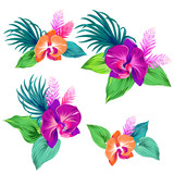 set of vector orchids. isolated.