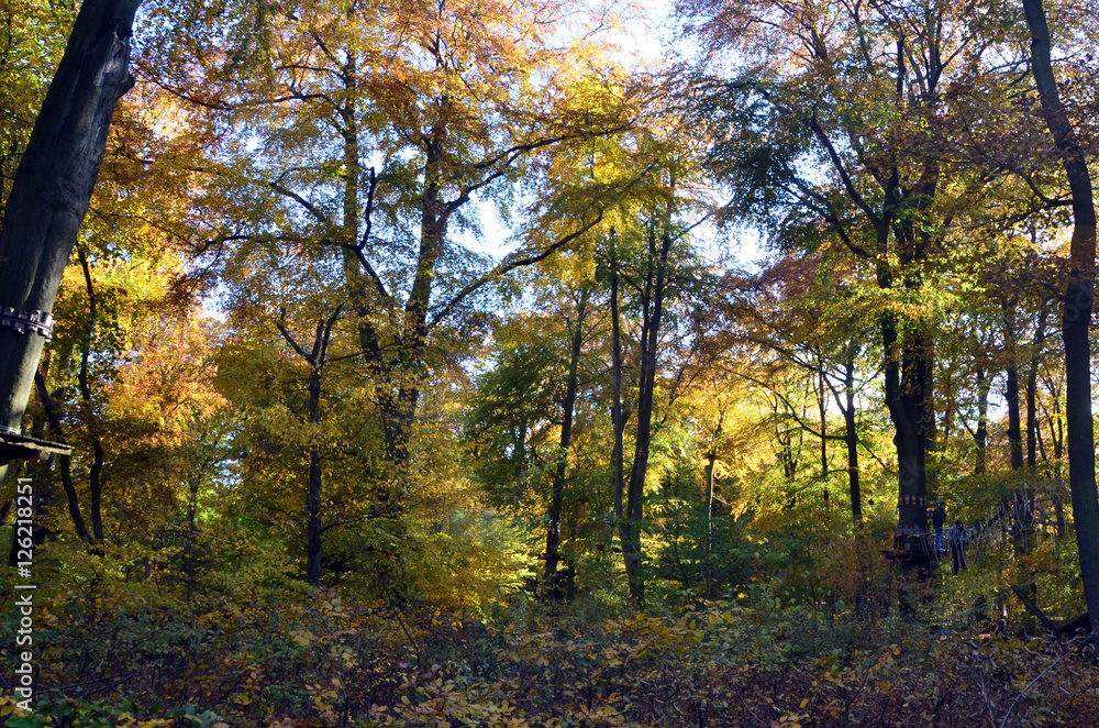 Obraz premium kletterspaß