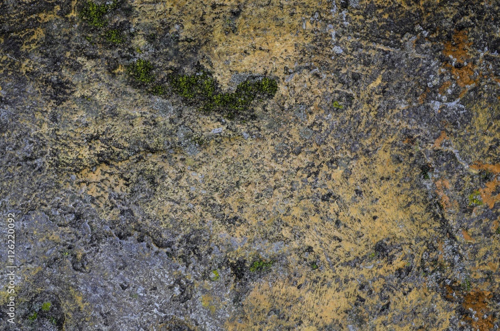 old spotty stained concrete wall texture background. color yellow, gray