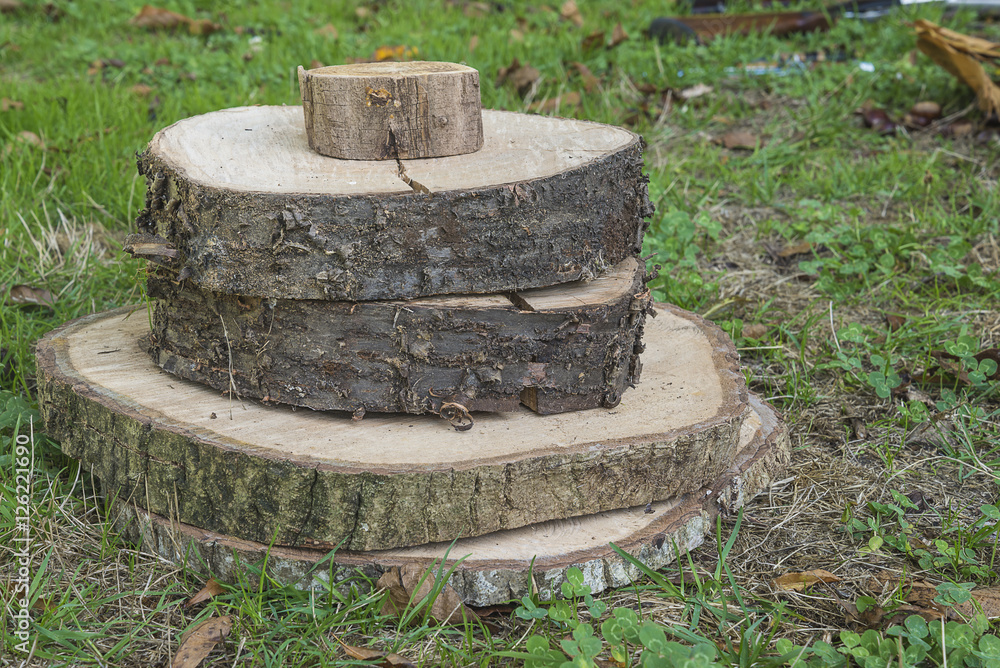Several tree slices and stumps on grass outdoors Several tree slices and stumps on grass outdoors