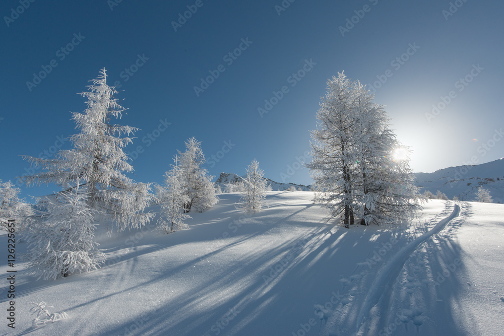 Fototapeta premium der Weg