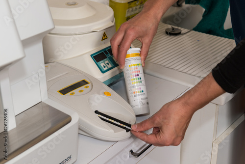 Fotografia Le vétérinaire, analyse d'urine sur un chien un test  détermine le PH