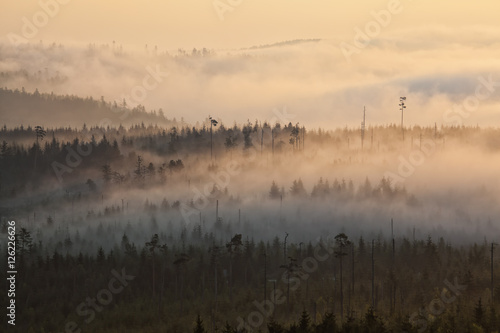 Fototapeta Naklejka Na Ścianę i Meble -  Sonnenaufgang über mit Wald bedeckten Bergen im Nebel