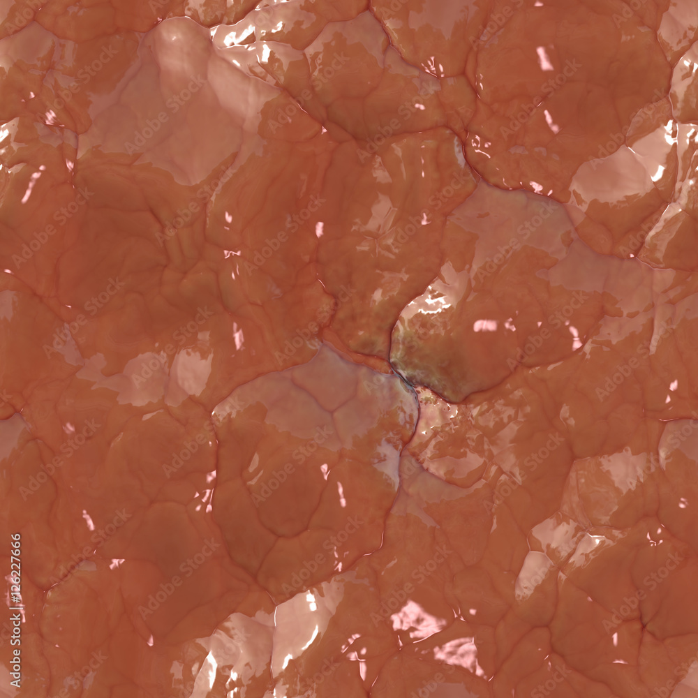 Brain Veins - Texture