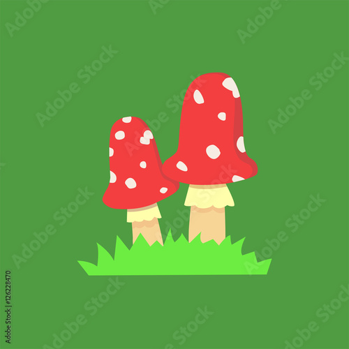 Amanita poisonous mushroom, isolated vector  on white background