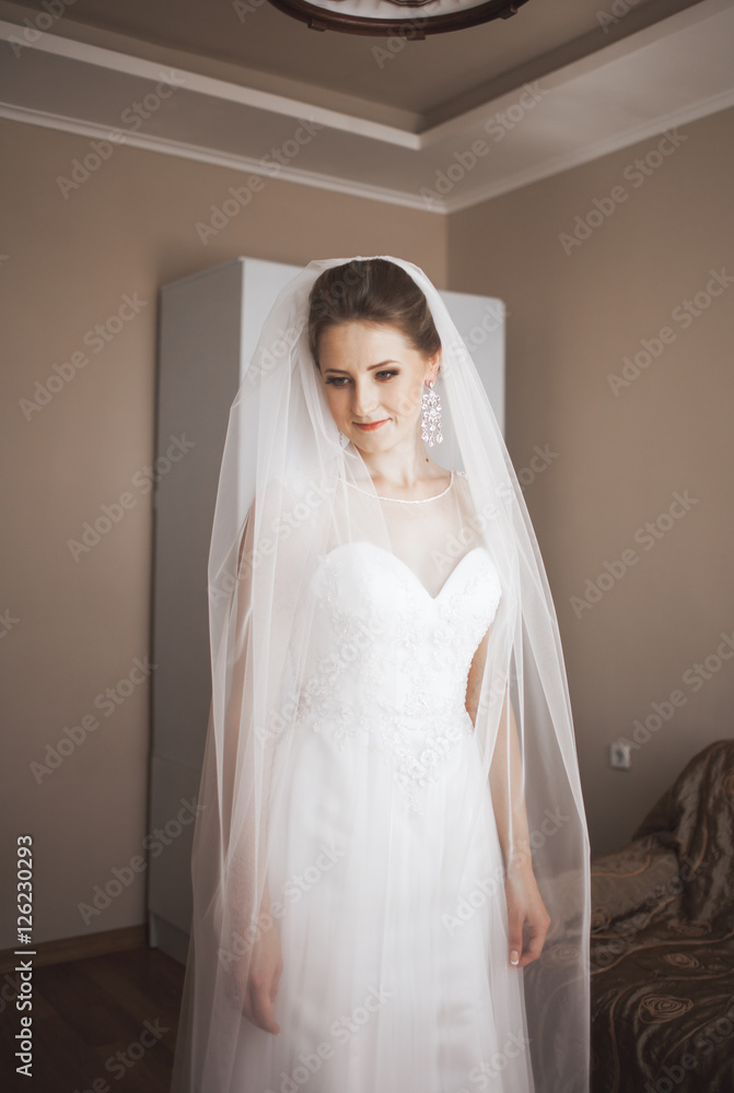 Fototapeta premium Portrait of beautiful bride with fashion veil at wedding morning. dress