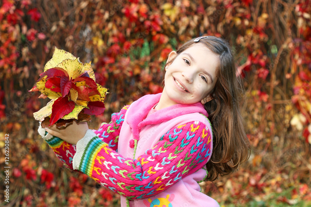 happy little girl holding colorful autumn leaves happy little girl holding colorful autumn leaves
